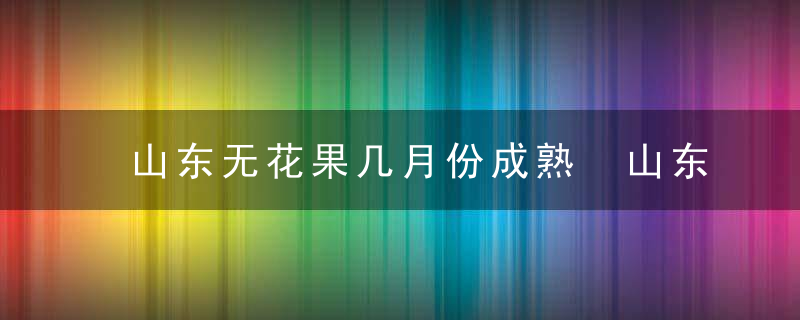 山东无花果几月份成熟 山东无花果的成熟时间是几月